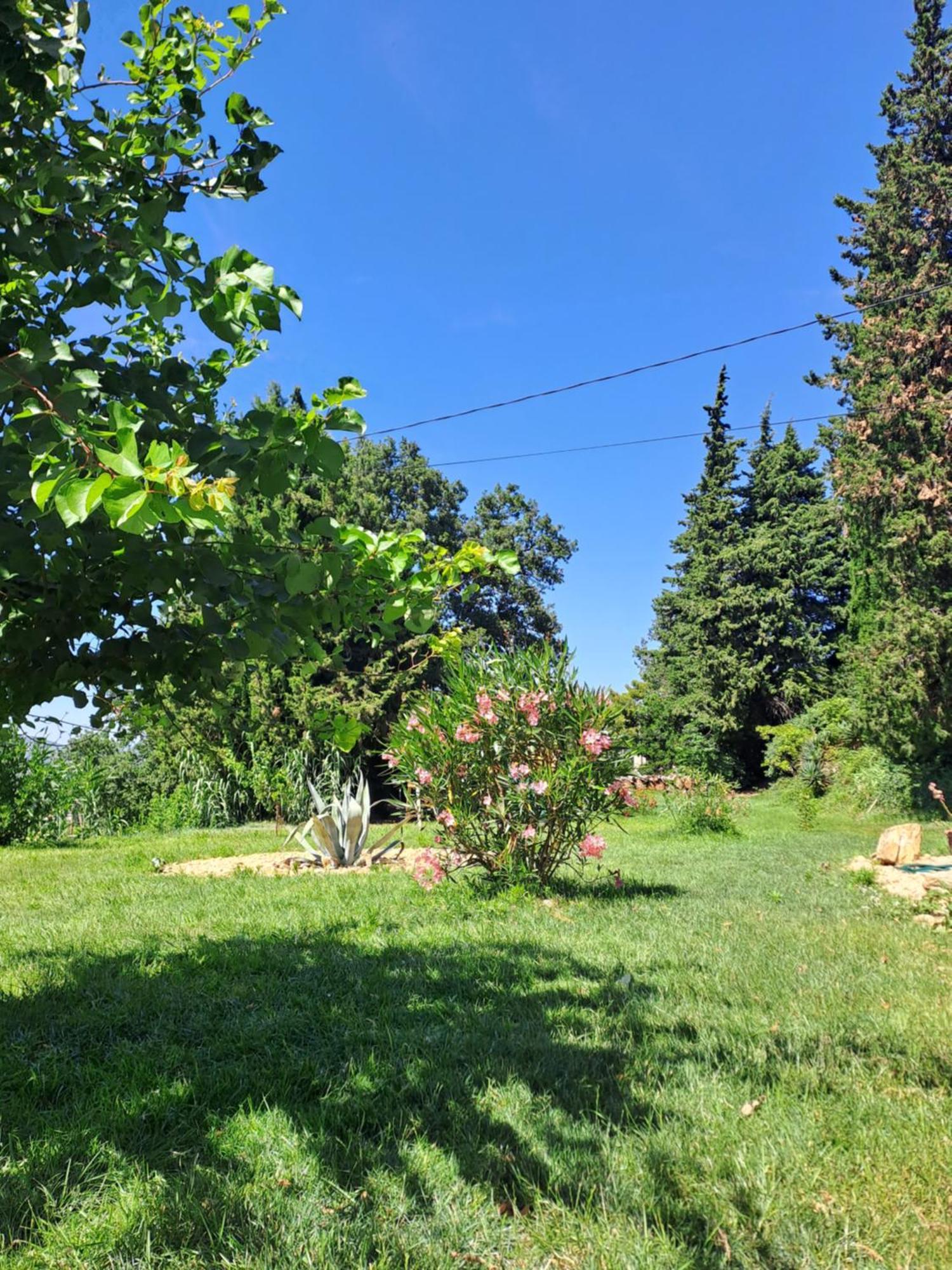 Le Gite Tilia Sablet Екстериор снимка